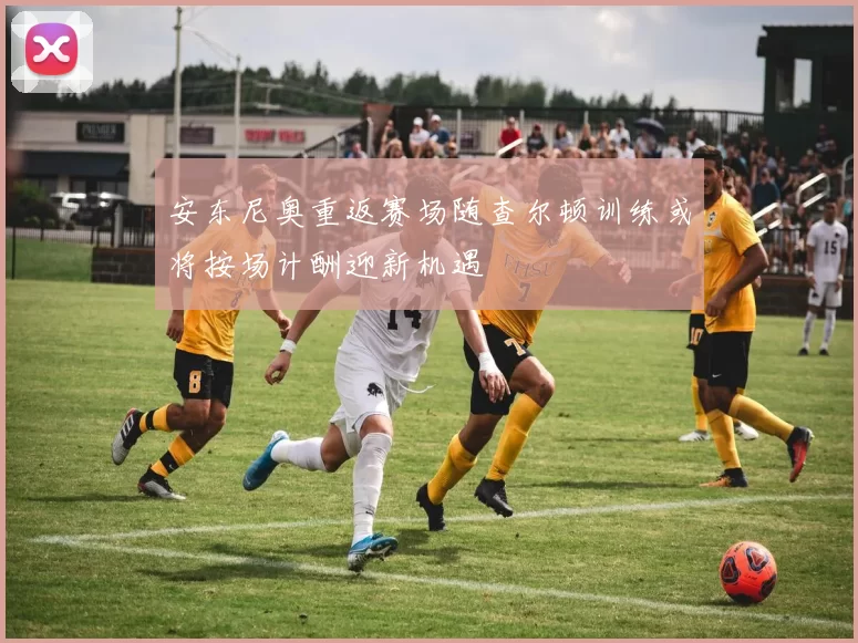 安东尼奥重返赛场随查尔顿训练或将按场计酬迎新机遇