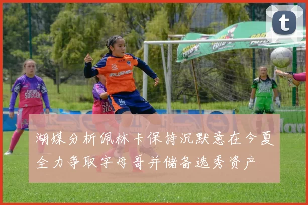 湖媒分析佩林卡保持沉默意在今夏全力争取字母哥并储备选秀资产
